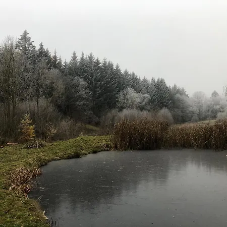 Vila Sowia Enklawa *