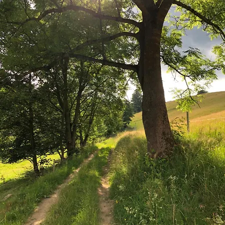 Vila Sowia Enklawa *