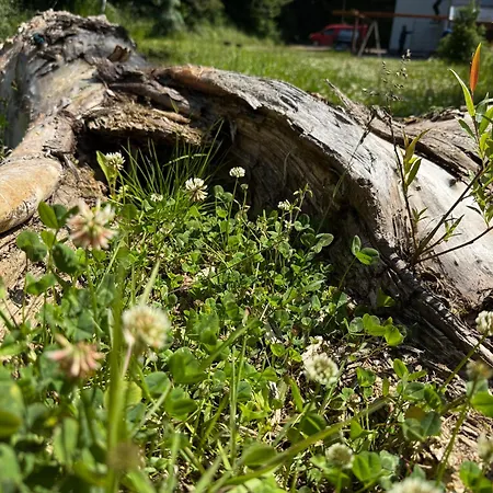 Sowia Enklawa * Ludwikowice Kłodzkie