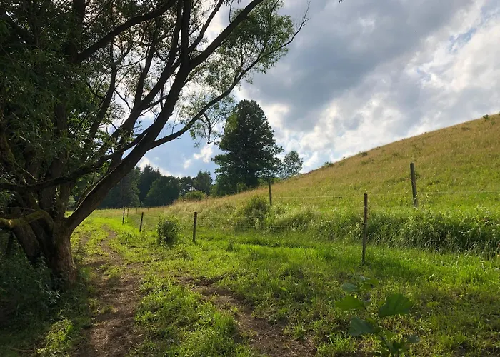 Sowia Enklawa Villa *