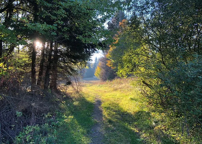 Sowia Enklawa Ludwikowice Klodzkie