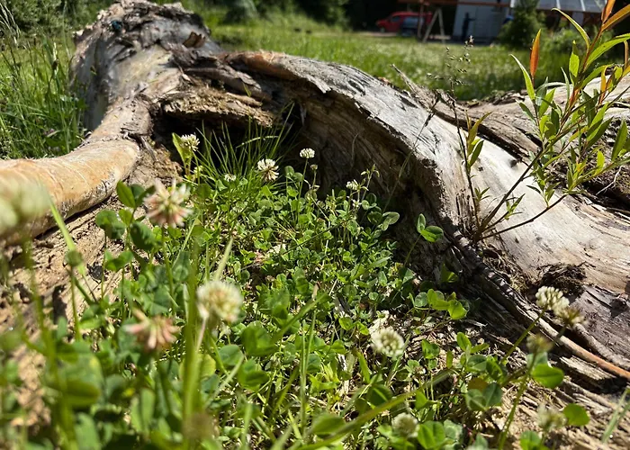 Sowia Enklawa * Ludwikowice Klodzkie